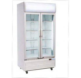 ARMARIO PUERTA DE CRISTAL CON DISPLAY DC800H