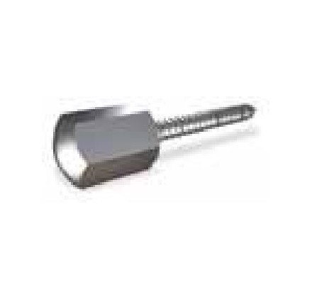 Tornillo barraquero con embellecedor 65x10 mm.