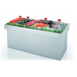 MOSTRADOR PESCADERIA DBNP